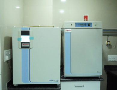 Thermo Heracell 150i CO2 Incubator which protect valuable samples while optimizing cell growth with fast recovery characteristics and convenient touchscreen user interface